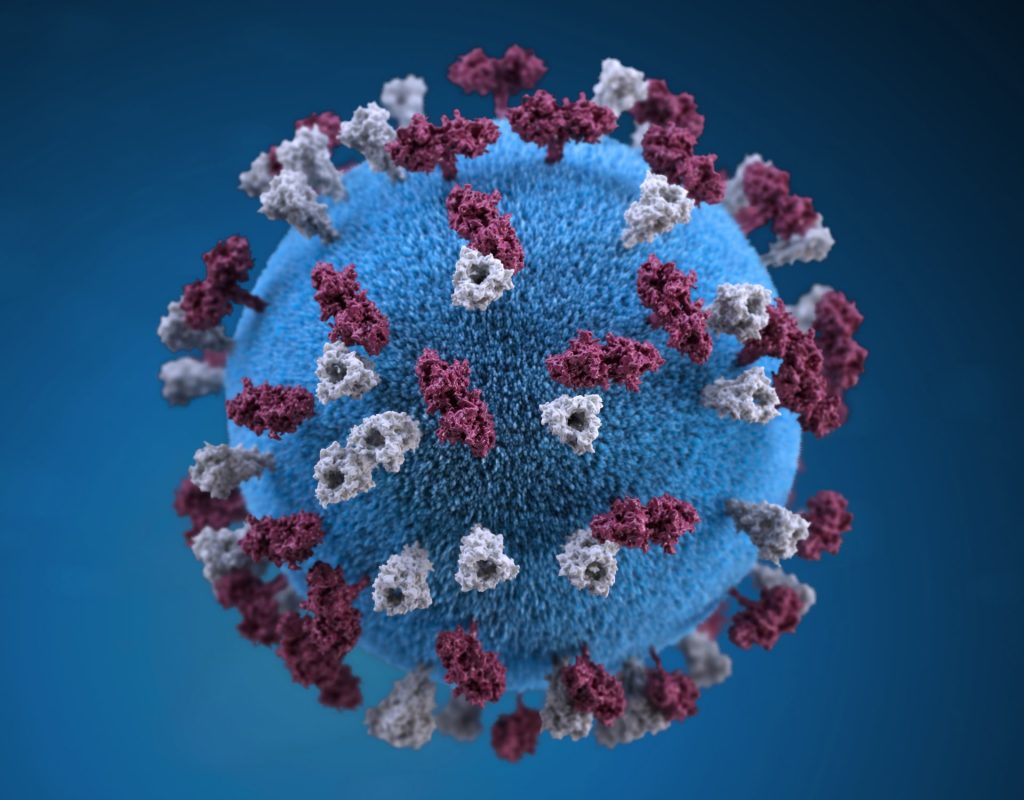 Virus strain